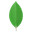 MongoDB